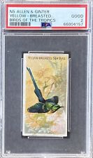 1889 N5 Allen & Ginter Tropic Birds YELLOW-BREASTED SUN BIRD PSA 2 GOOD picture