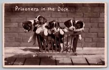 eStampsNet - Prisoners in the Dock 5 Puppies RPPC Postcard picture