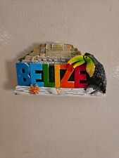 Belizean souvenir  fridge magnets picture