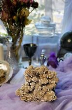 2.5lbs Large Desert Rose Cluster picture