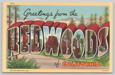 Postcard Greetings from Redwoods CA large letter Curt Teich Linen c1946 picture