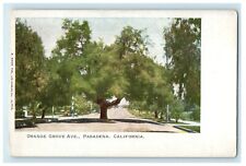 c1905 Orange Grove Pasadena California CA Unposted Antique Postcard picture