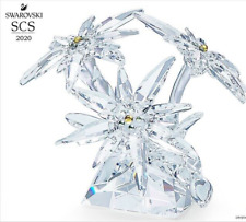 Swarovski SCS 2020 Exclusive Edition, Edelweiss MIB #5493708 Signed picture