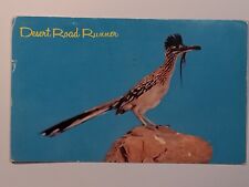 The Desert Roadrunner Posted 1967 Postcard picture