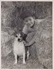 Unknow Little Actor  In Lassie(1950s) ⭐ Original Vintage Photo K 282 picture