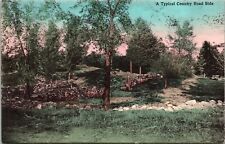 Typical Country Road Side Divided Back Antique Postcard Unused Vintage picture