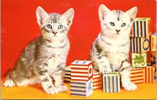 c1960's Kittens with toy blocks, Vintage Chrome Postcard, really nice card, cats picture