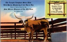 1950s LONGHORN RANCH New Mexico Postcard 
