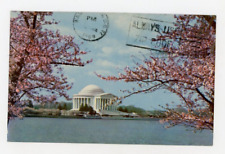 Vintage Postcard  WASHINGTON DC CHERRY BLOSSOMS  JEFFERSON MEMORIAL POSTED 1969 picture