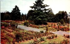 Vintage Postcard Washinton Park Rose Garden Portland WA Washington          X117 picture