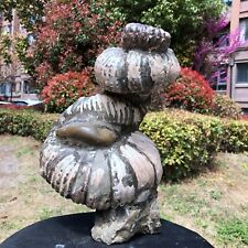 13.7LB  Rare Natural Tentacle Ammonite FossilSpecimen Shell Healing Madagas picture