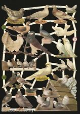 German Embossed Vintage Style Scrap Die Cut - Pigeons, Doves & Bird House EF7299 picture