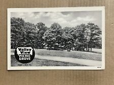 Postcard Cincinnati OH Ohio Valley View Picnic Grove Vintage Roadside PC picture