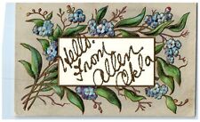 c1910 Greetings From Allen Oklahoma OK Unposted Embossed Flowers Leaves Postcard picture