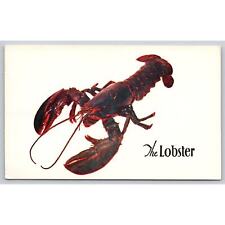 Postcard NY New York City The Lobster Sea Food Restaurant picture