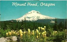 Vintage Postcard- Mount Hood, Oregon. picture