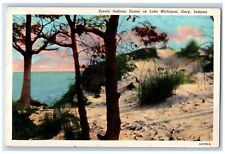 Gary Indiana Postcard Scenic Indiana Dunes Lake Michigan Exterior c1940 Vintage picture