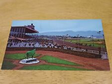Vancouver B.C. Canada Race Track P.N.E. Grounds Horse Vintage Postcard picture