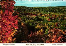Continental Postcard Colorful Autumn Wakarusa Indiana picture