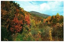 POSTCARD VTG National & State Parks Fall Colors Fightin Creek Gap Smoky Mts picture