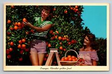 Oranges Florida's Golden Fruit Vintage Posted 1964 Babson Park picture