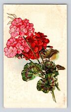 Antique Postcard Embossed Red Geraniums Unposted Copyright 1909 