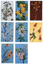 LOT OF 8 FLOWER POSTCARDS picture