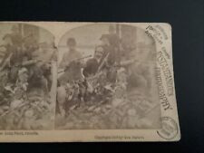 1891 George Barker Duck Hunting Hunters Long Point Canada Stereoview Photo picture