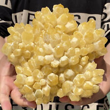 6.94LB Natural yellow Crystal Cluster/Flower Shape Mineral Specimen healing picture