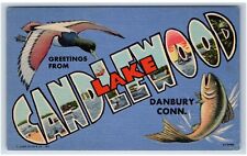 Danbury, CT Postcard-  LARGE LETTER GREETINGS FROM LAKE CANDLEWOOD picture