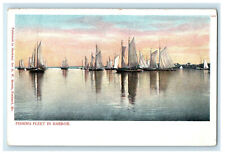 c1900s Fishing Fleet in Harbor Unposted Antique PMC Postcard picture