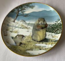 Woodland Year Woodchucks In The February Thaw Plate Peter Barrett FP 1981 picture