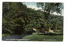 Vintage Postcard NH Rochester Intervale near Cold Spring Park c1906 -*1610 picture