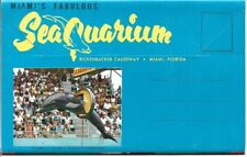 Unmailed Postcard Folder Miami's Seaquarium-Porpoises, Sharks, 