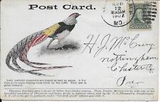 Lady Amherst Pheasant Breeding Advertising Card Vintage Postcard used in 1907 picture