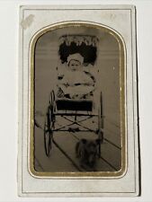 RARE BABY in PRAM w DOG porch Stroller antique 1870s Tintype Photo TIN Type picture