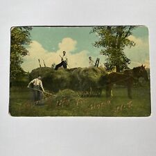 Country Life In Hope NJ  Postcard Men Bailing Hay  Posted 1913 Gold Raised Paint picture