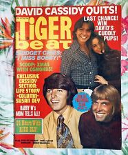 Tiger Beat January 1971 Vintage Magazine David Cassidy Bobby Sherman Rick Ely  picture