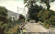 Vintage Postcard 1910's Road to Fitche's Bridge Elmira New York N. Y. picture
