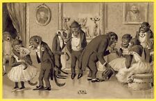 cpa Back Illustration 1900 Embossed HUMANIZED MONKEYS Humanized Monkeys picture