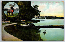 Vintage Postcard WI Elkhart Lake Pine Point Elk Dock c1910 -*1274 picture
