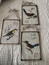 British Museum Of Natural History Set Of 3 Antique Birds On Glass With Frame picture