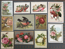 11 LARGER VICTORIAN CARDS; Stock, 1 TC, 1 RM, CAT, DOG, BIRD, ROSES, FUCHSIA picture