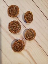 Lot 5 Vintage Southwestern Clay Buttons Shank Back Brown Approximately 1