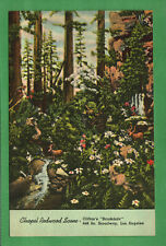 Postcard Chapel Redwood Scene Clifton's Brookdale Los Angeles California CA picture