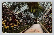 Chicago, IL-Illinois, Lincoln Park Conservatory Antique c1908, Vintage Postcard picture