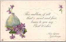 c1910s HAPPY NEW YEAR Greetings Postcard Money Bag / Violet Flowers STECHER 558E picture