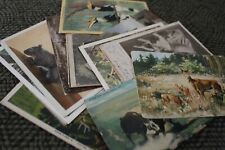 Antique & Vintage Postcard Lot Animals Donkey Dog Horse Birds Bear Deer Ephemera picture