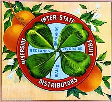 Redlands Shamrock St. Patrick's Day Orange Citrus Fruit Crate Label Art Print picture