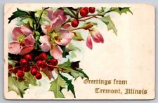 eStampsNet - Greetings from Tremont Illinois IL 1908 Embossed Postcard  picture